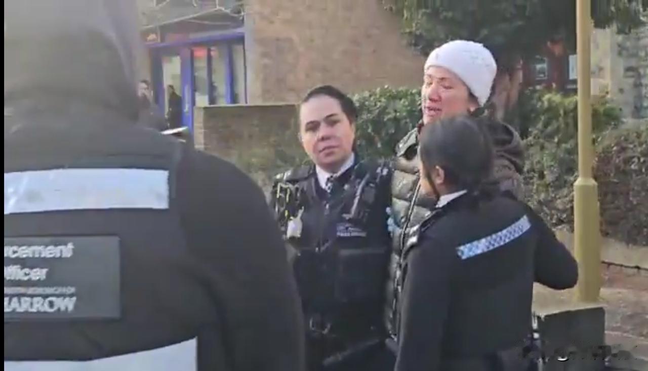 美国已傻，而英国已疯——喂鸟都不行：

今天早些时候的英国哈罗。一名年轻英国女子