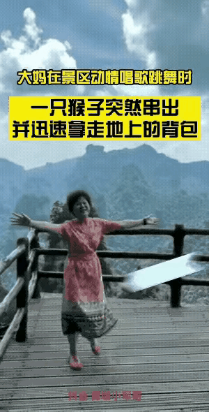 大圣又惹祸了！

这不，一位阿姨爬山，到了山中间发现一处风景优美的好地方；悠悠白