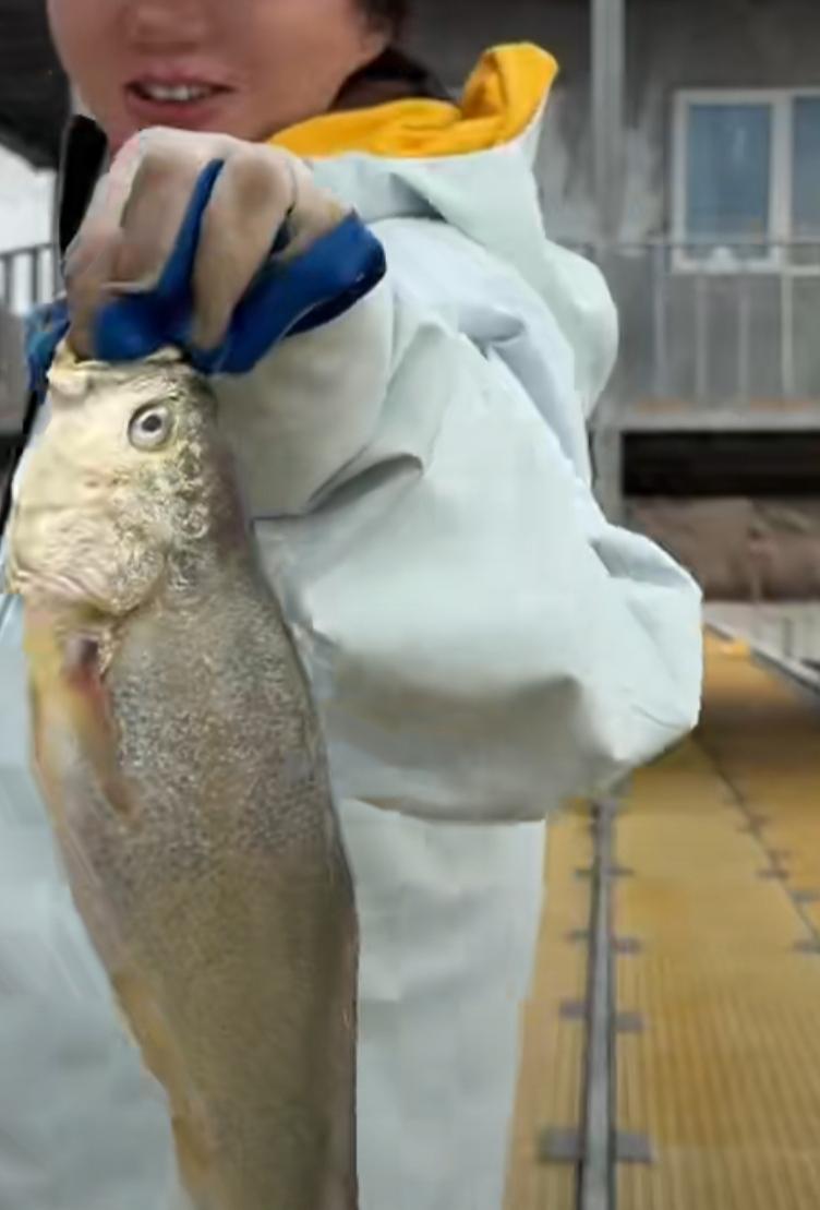 浙江舟山东寨岛的招聘信息一经发布，没想到咨询电话成了热线！

好多人把这个工作想