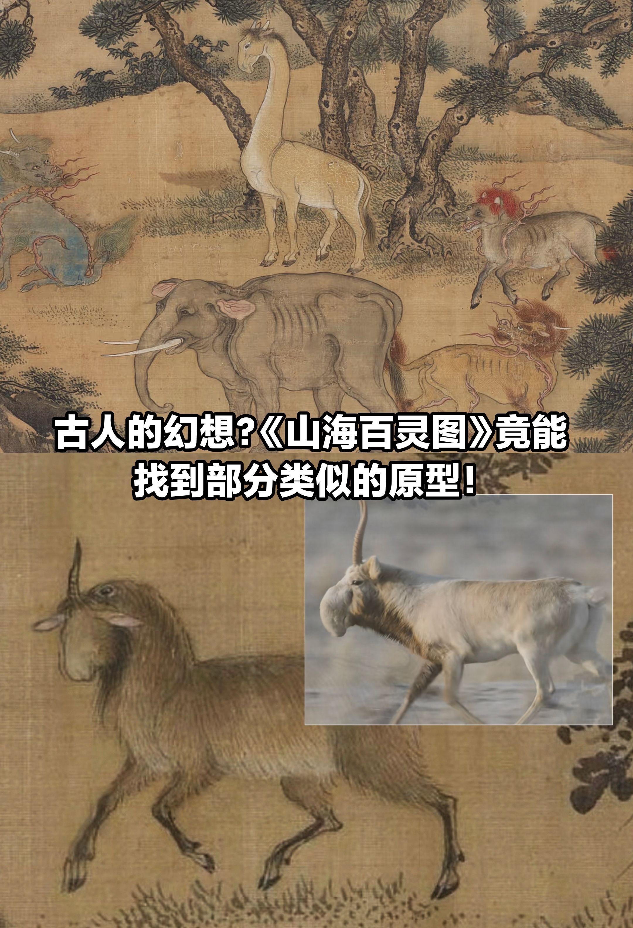 《山海灵兽图》里的异兽，到底存在过吗？