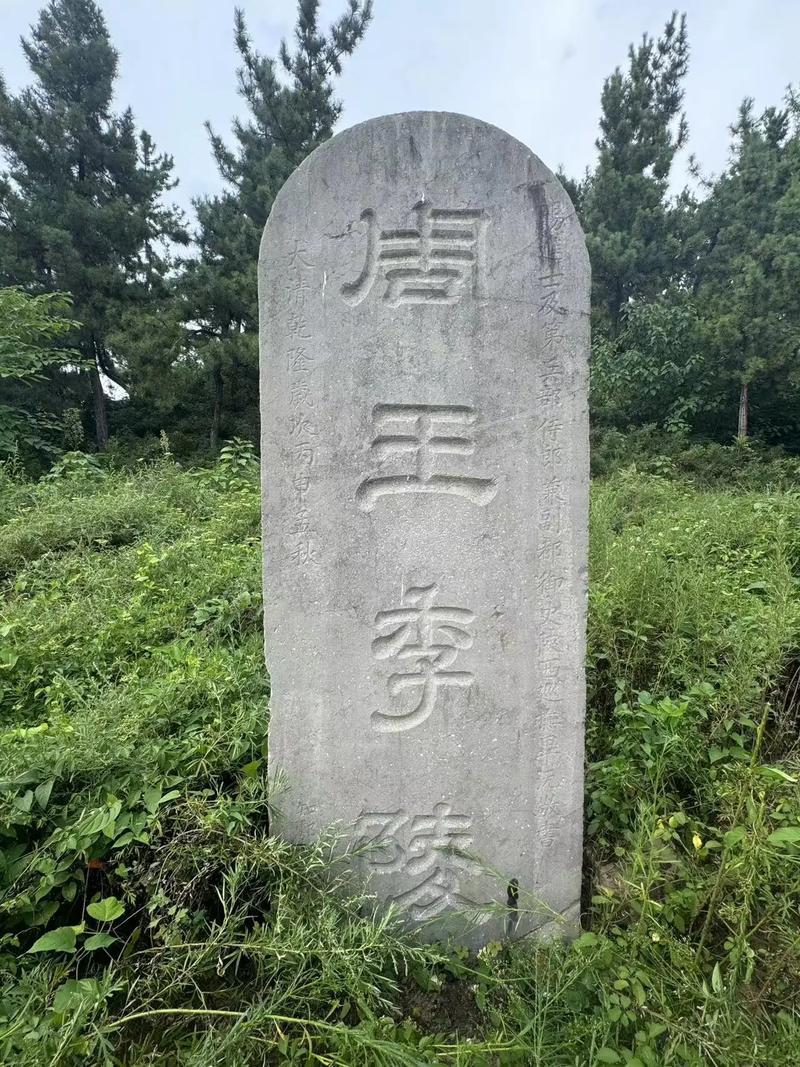 顺着渼陂湖向西步行五百米，就能撞见藏在关中乡野里的周王季陵。覆斗形封土上荒草漫生