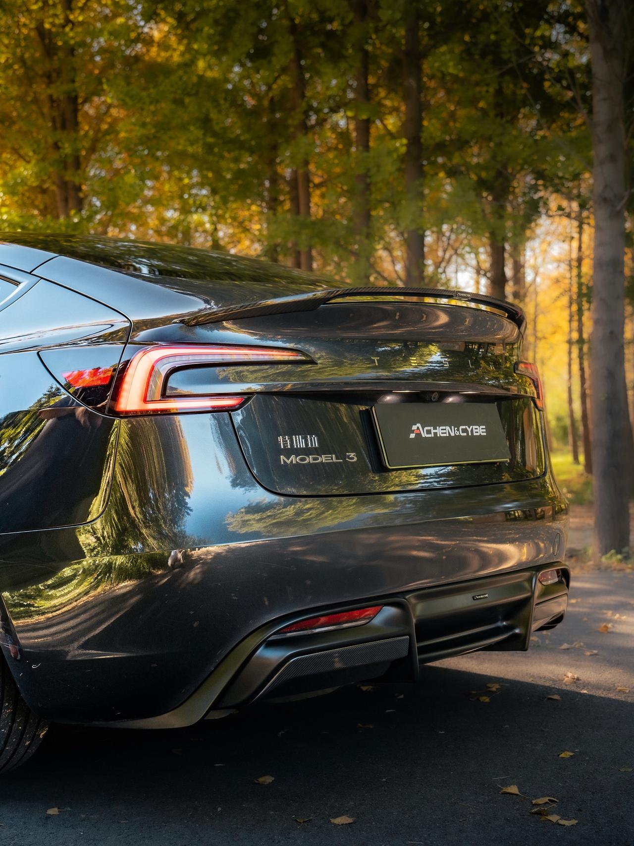 雷肯茨博 特斯拉 特斯拉改装 model3 焕新model3