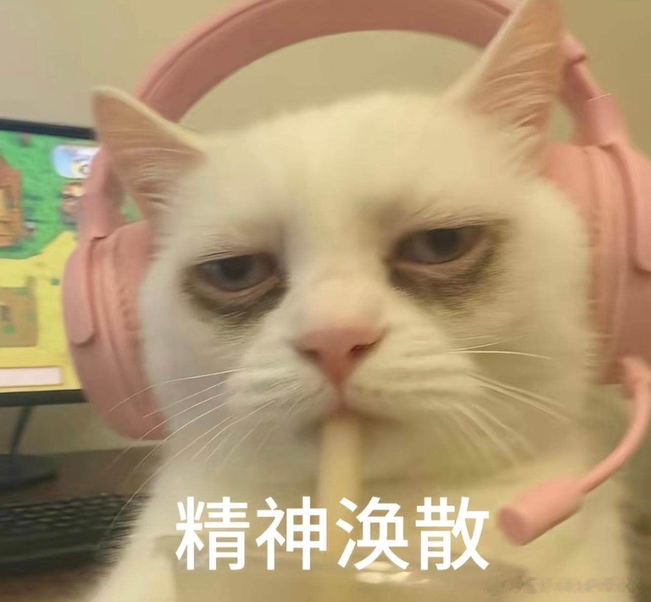 好困好困，好希望每天能一觉睡到自然醒 