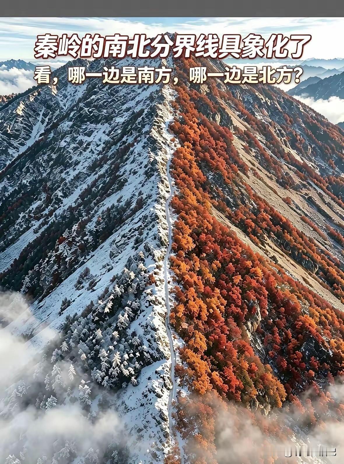 这是一张真实照片，那么你能分辨出南和北吗？