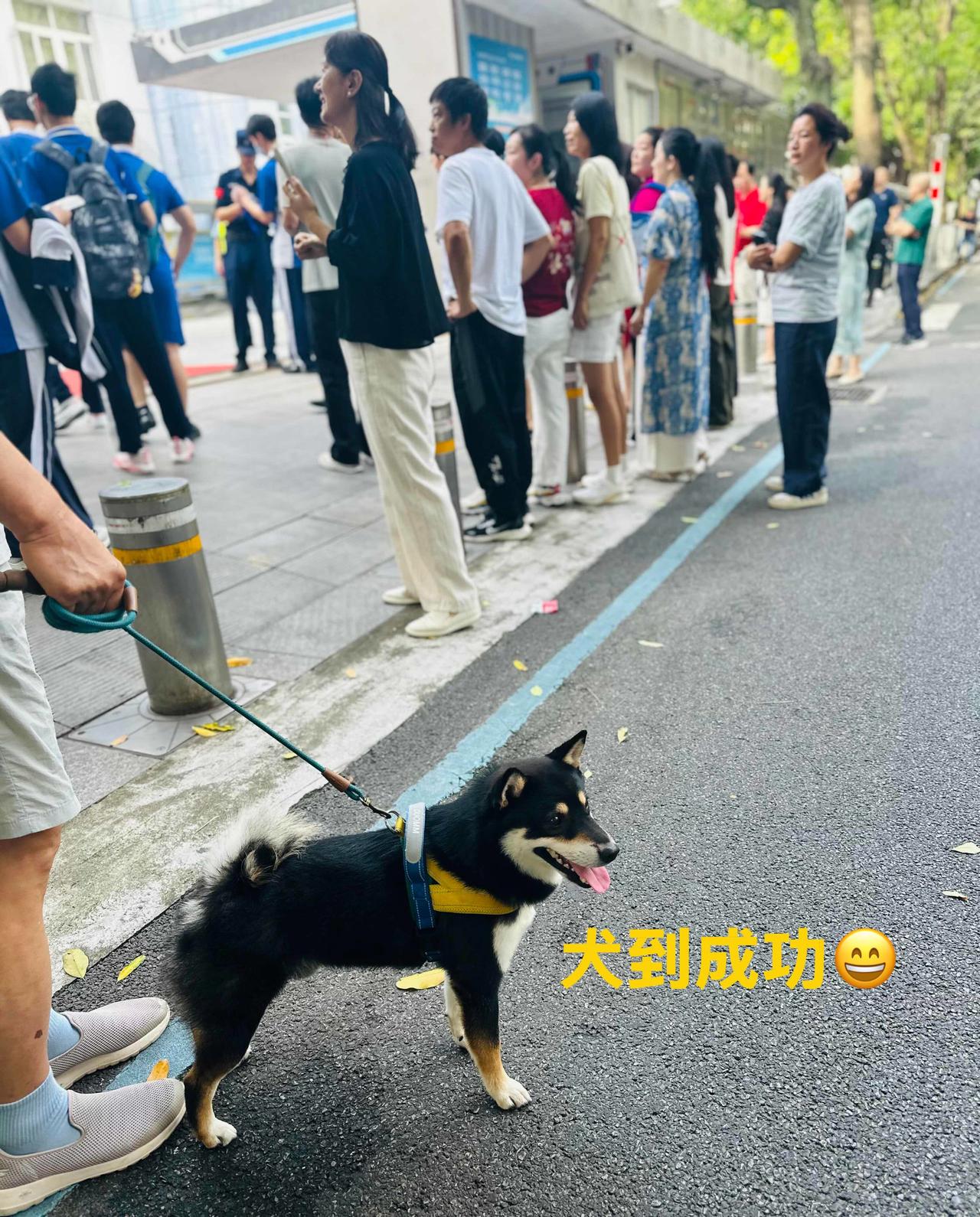 外孙女人生第一场大考终于结束了。这几天我们也像坐了场过山车。

尽管平日里一直在