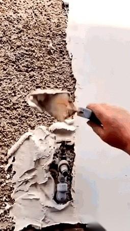 我真想抽自己俩嘴巴。
凭什么看人穿个破T恤，就觉得人家是来搞笑的？
刚点开，那感