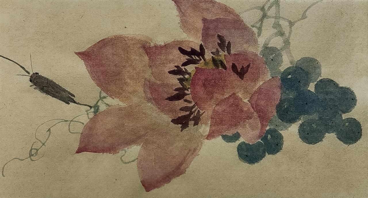 荷花葡萄