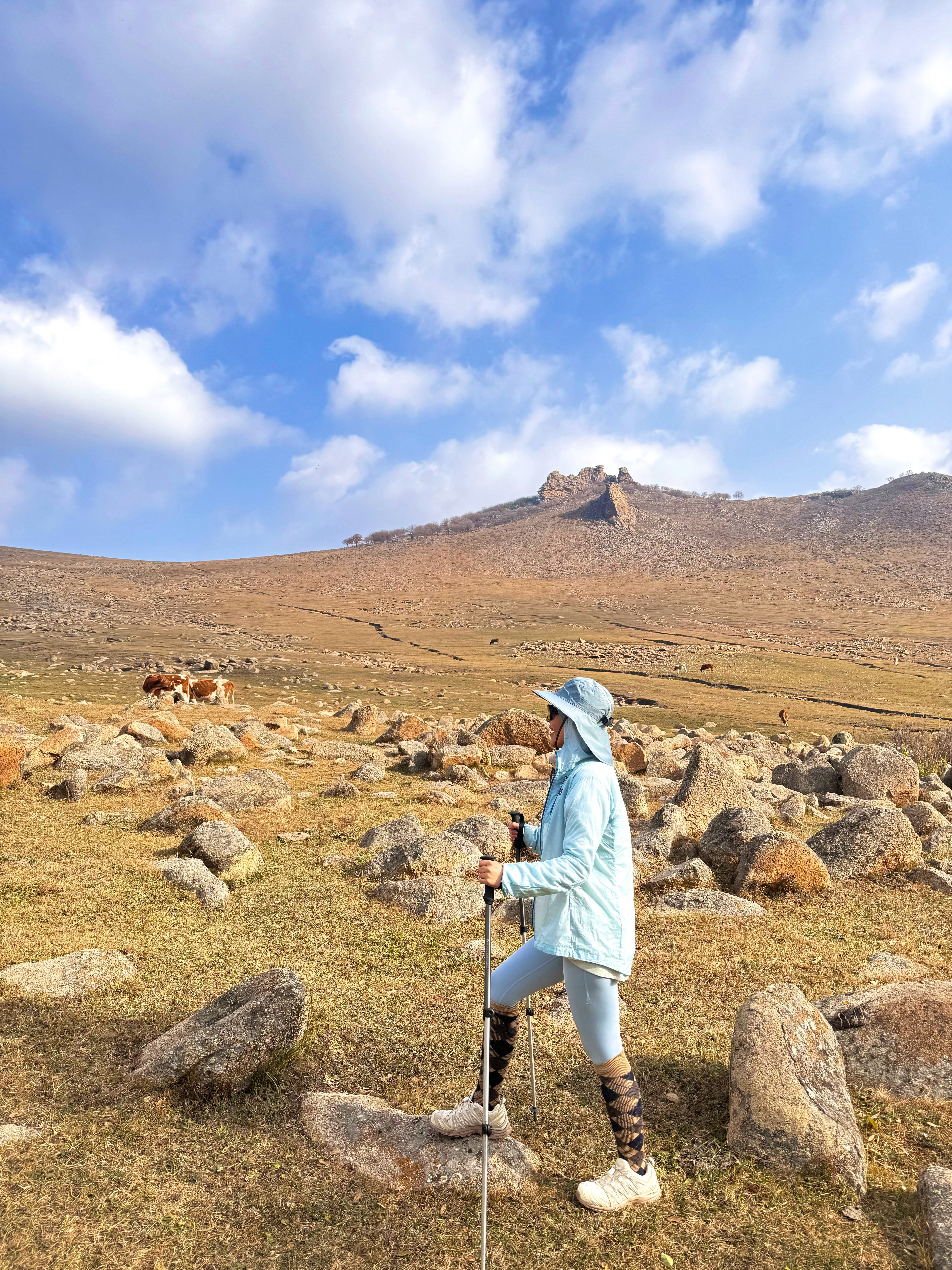 秋天的内蒙古大青山，仿佛披上了一层金黄与火红交织的锦缎。层叠的山峦与广阔的草原相