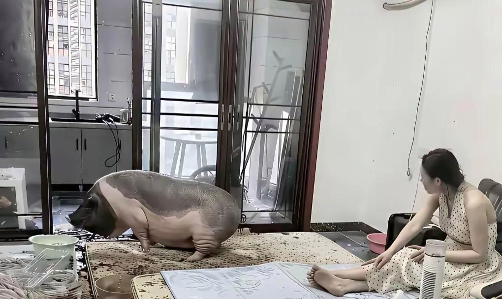 结婚不是任务，是选择。
有人等房子，有人等心安，有人等自己够硬气。
不是不想结，