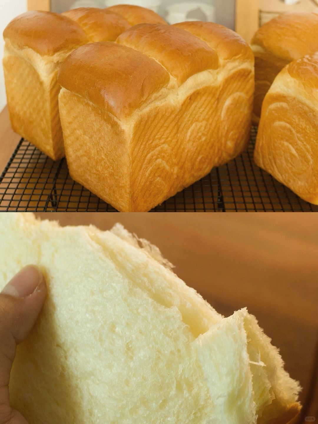 不小心烤出了我的人生吐司🍞爆发力超好