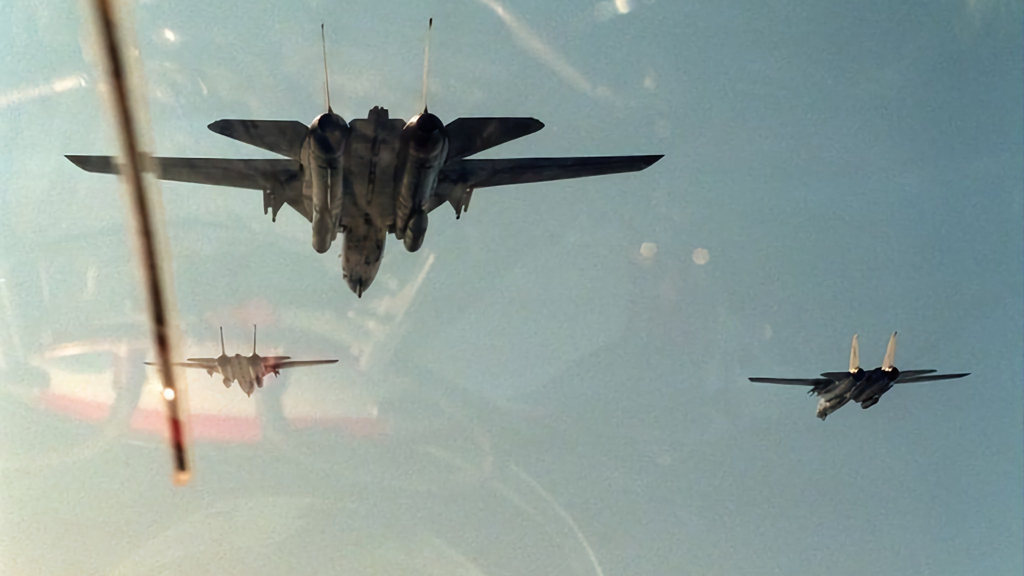 猫宁。一起来欣赏F-14大猫的猫屁股 ​​​