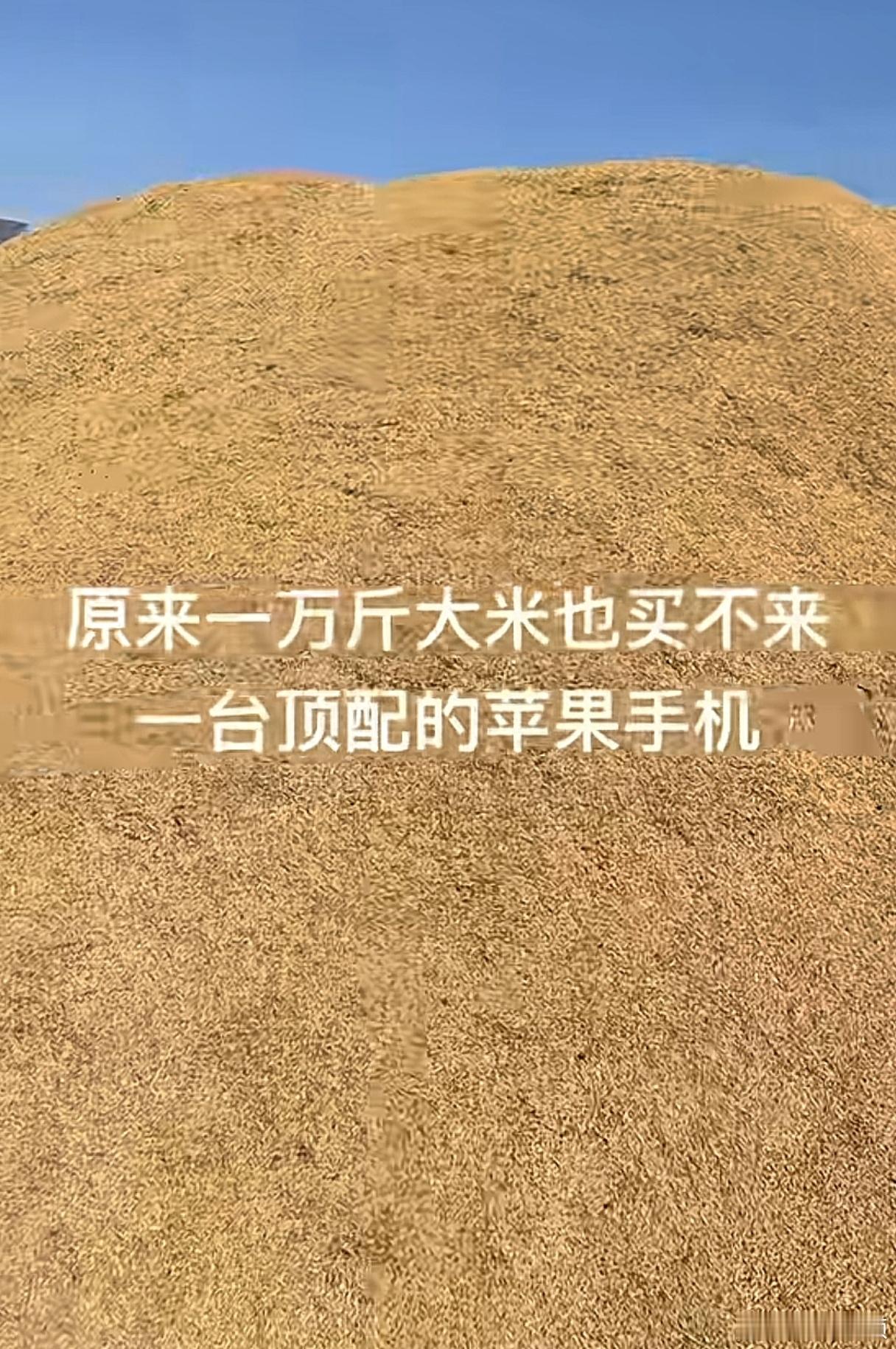 一万斤的大米，竟然不够买一个苹果顶配手机！ ​​​