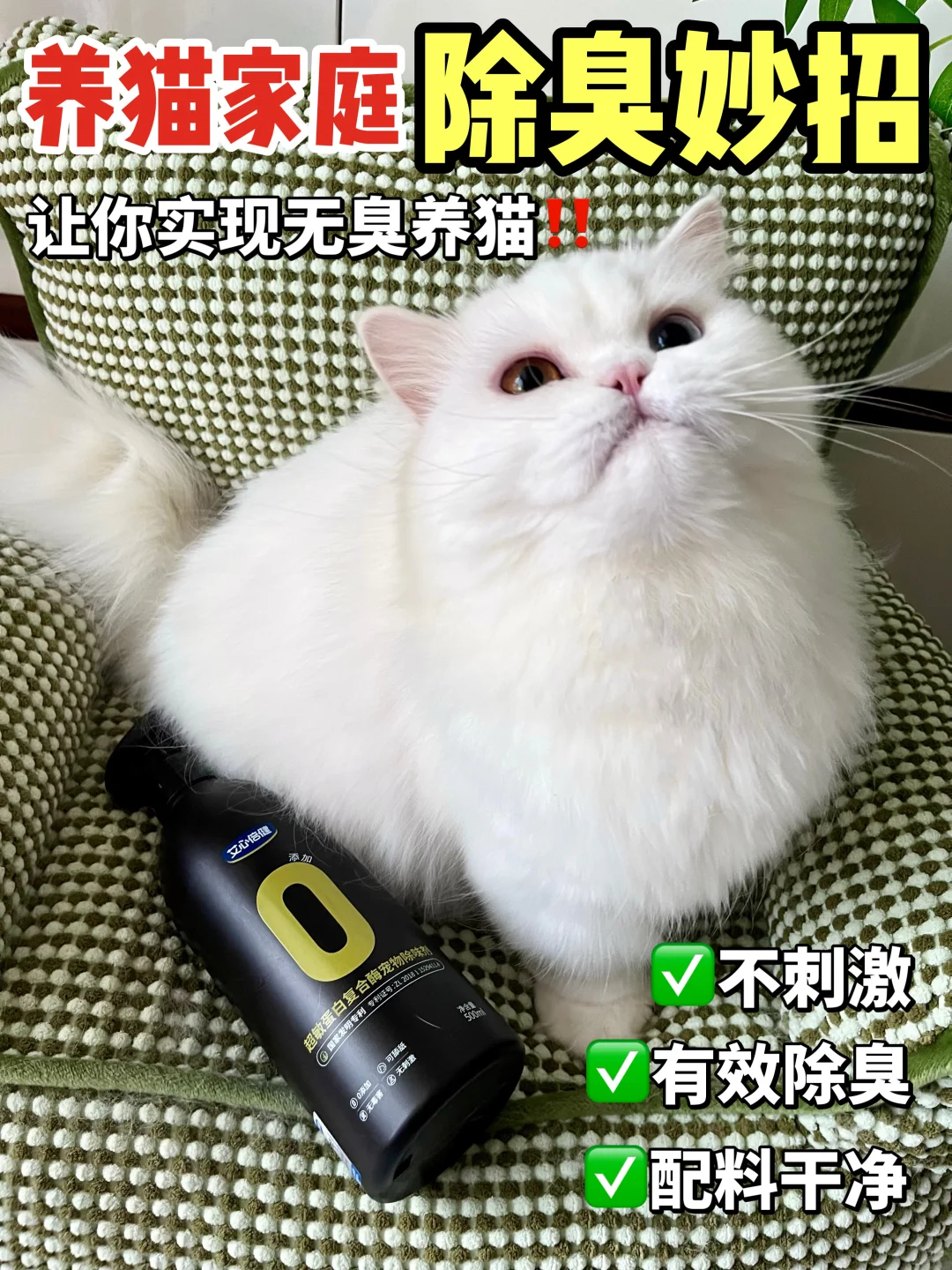 臭味消除器在手，实现无臭养猫‼️