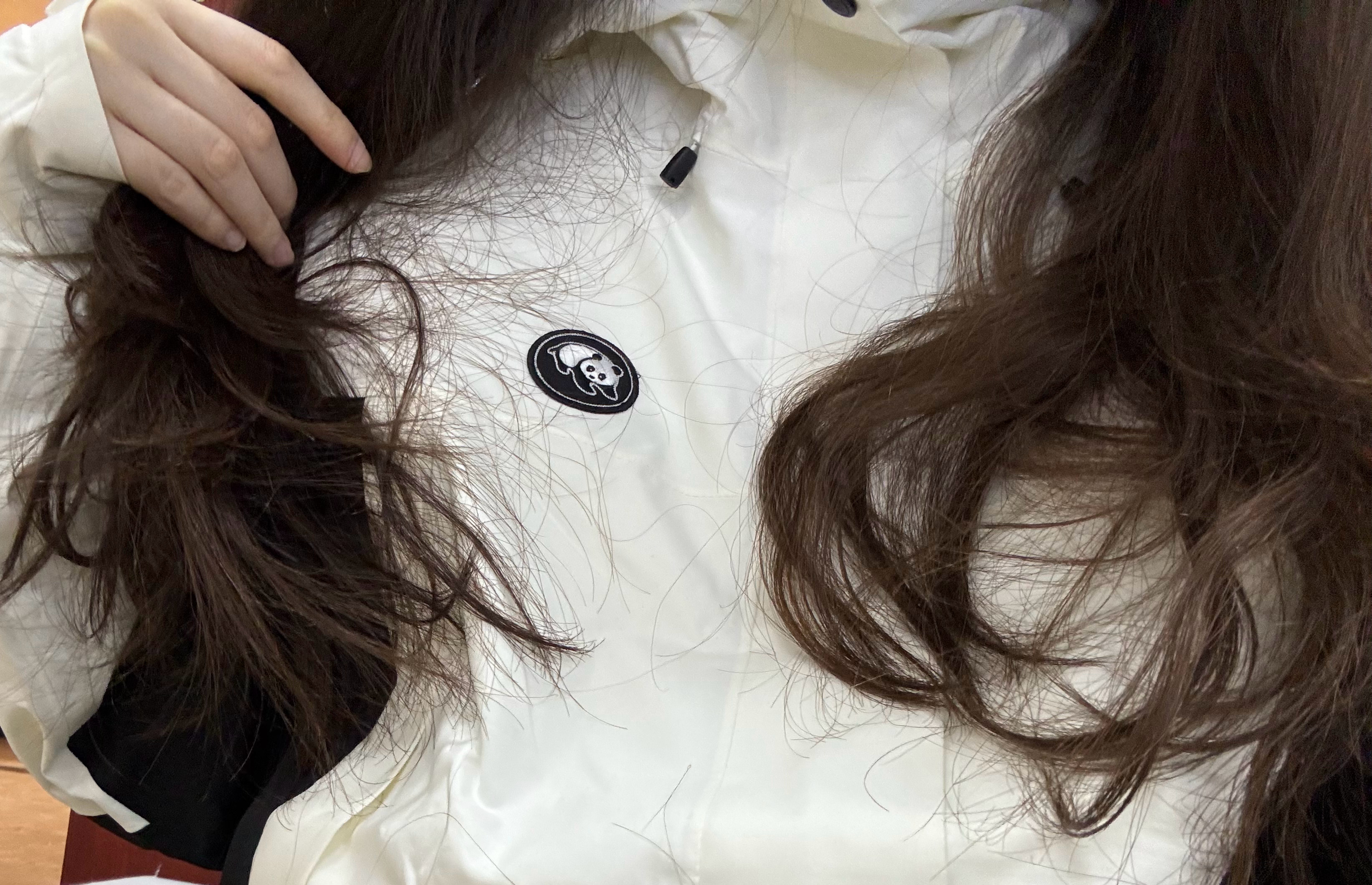 穿上同款就是比西家的人了（没找到老毕的骆驼直拍 无予伦毕