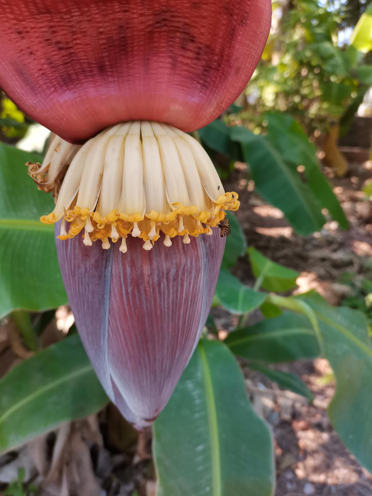 2026新年第一天祝福所有的亲朋好友身体健康，新的一年祝福大家都可以赚到自己想要