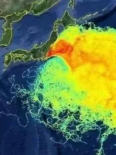 日本核污水排海持续到今天已经第10天，据统计已经排了2400吨的核污染水。

个