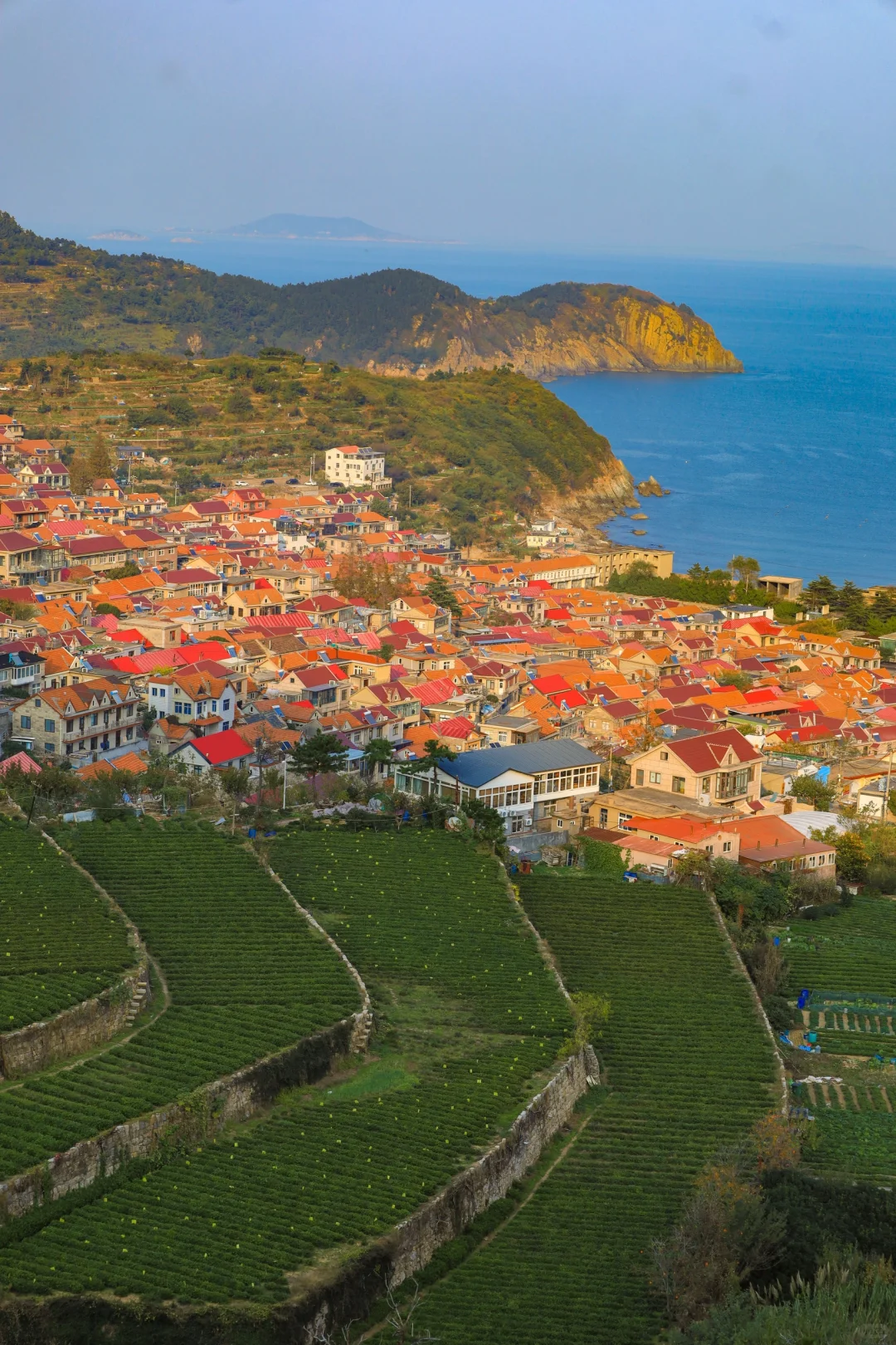 人生建议❗️离开青岛前留1天时间给崂山