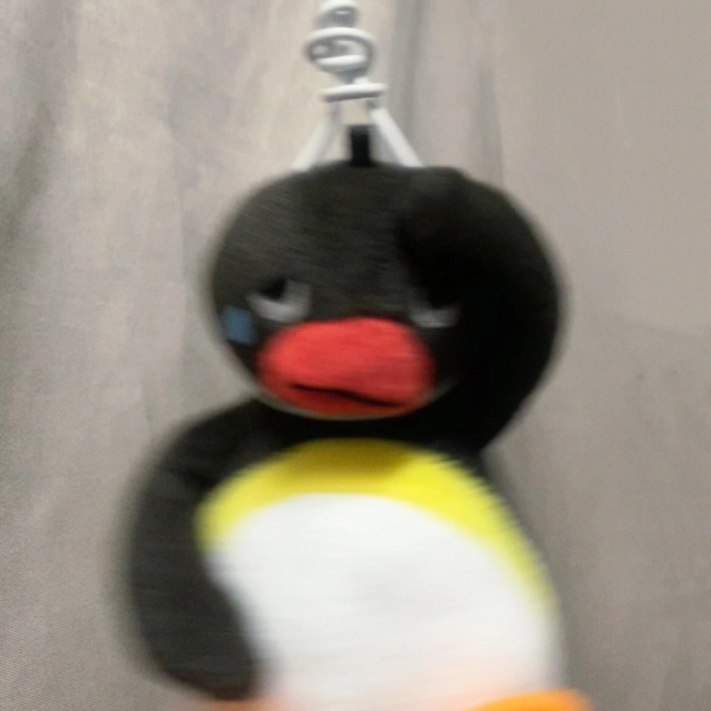 小企鹅Pingu🐧 ​​​