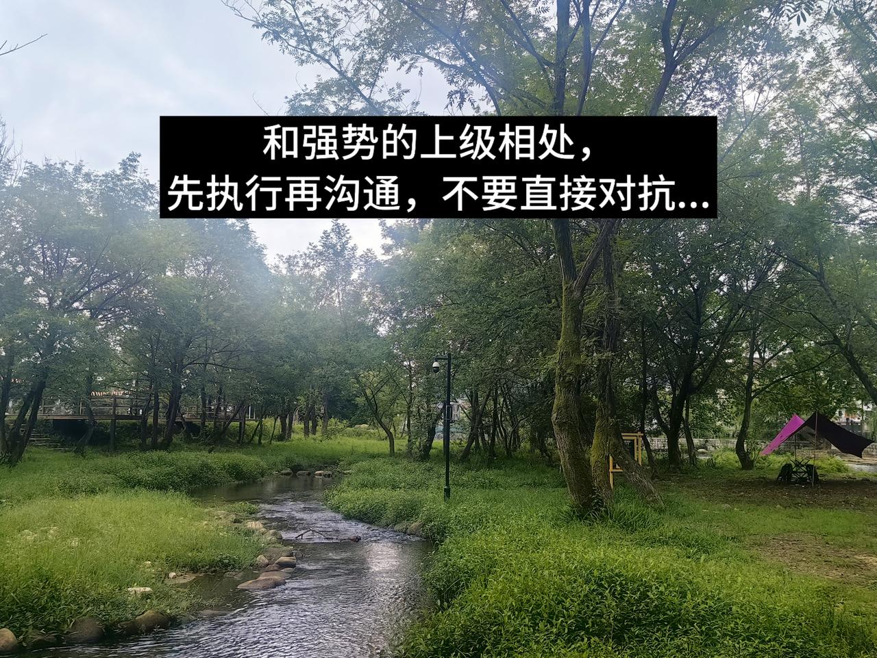和强势的上级相处，先执行再沟通，不要直接对抗...

我当年吃过一次大亏。那会儿
