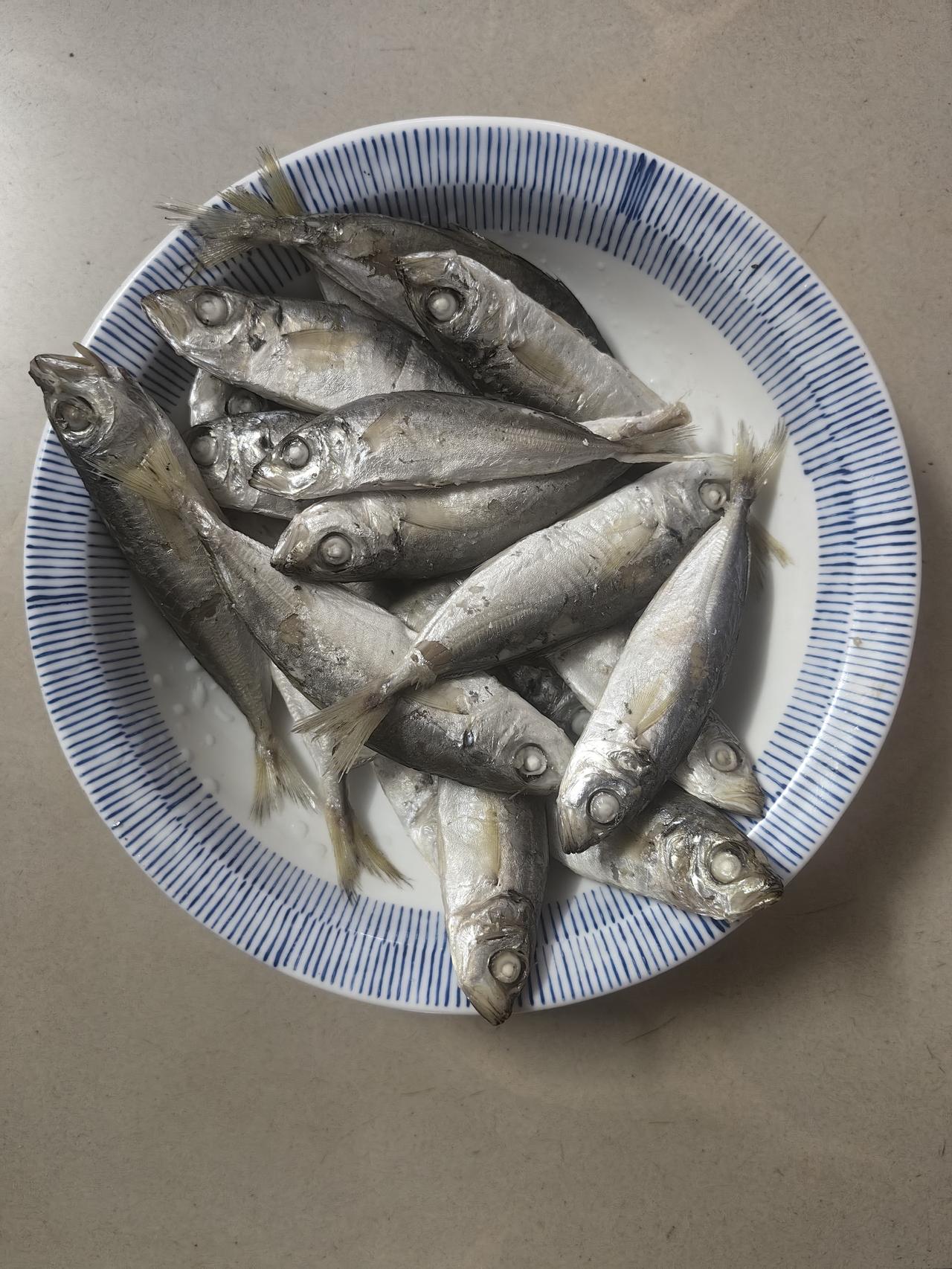 茂名官渡菜市场，5元鲜鱼就是香
 
老婆刚才从官渡菜市场买波浪熟鱼，13元1斤，