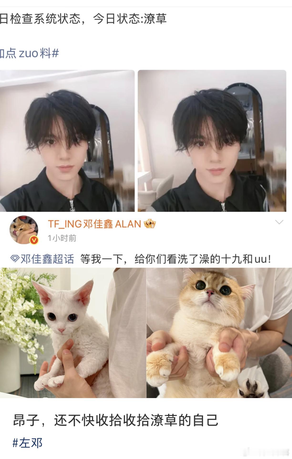 tg 邓佳鑫 左航隔空对话左邓