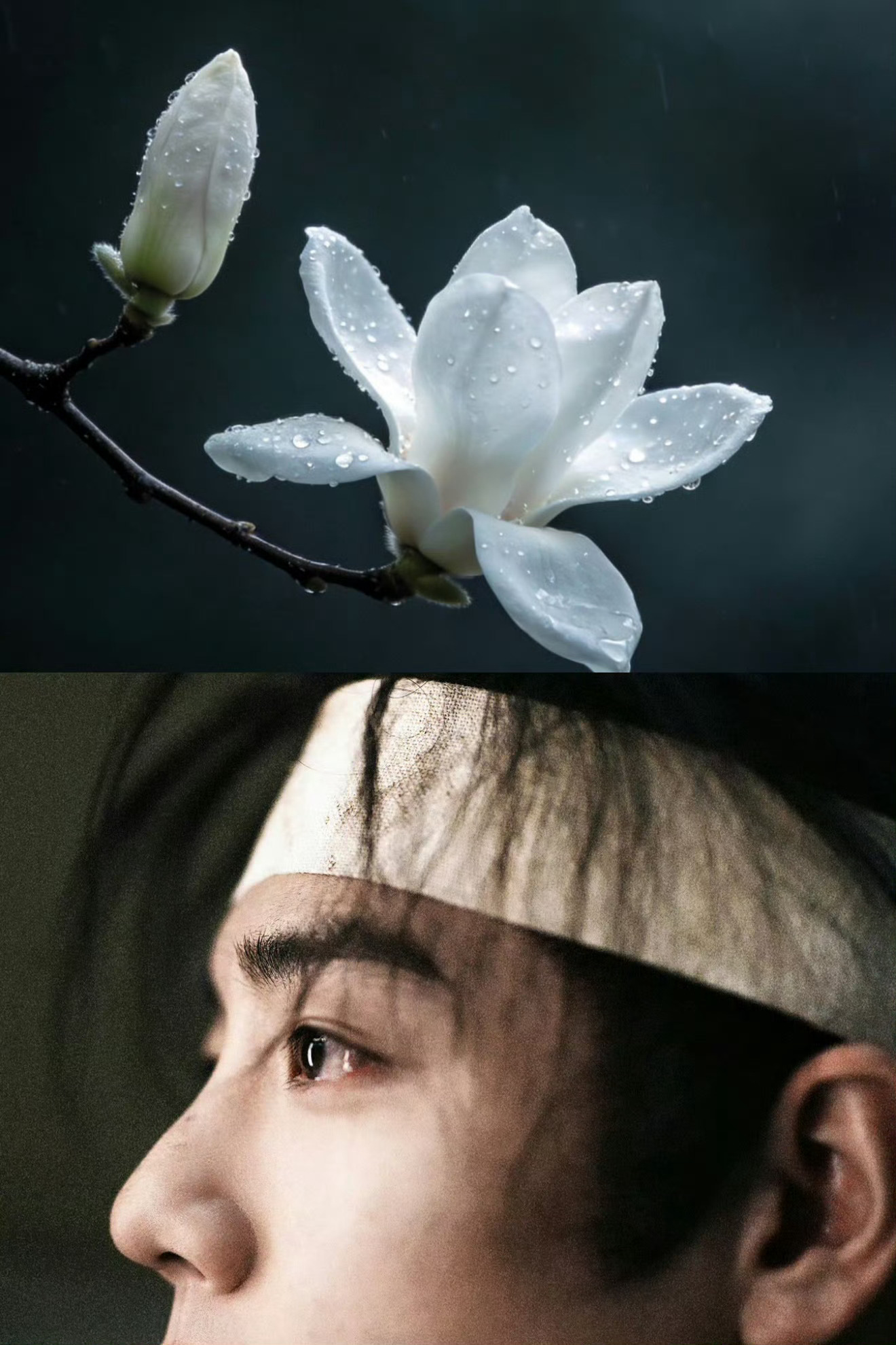 肖战 肖战我爱你， 愿你眼含星光、笑容如初，愿你星途坦荡，再无坎坷，愿你所有努力