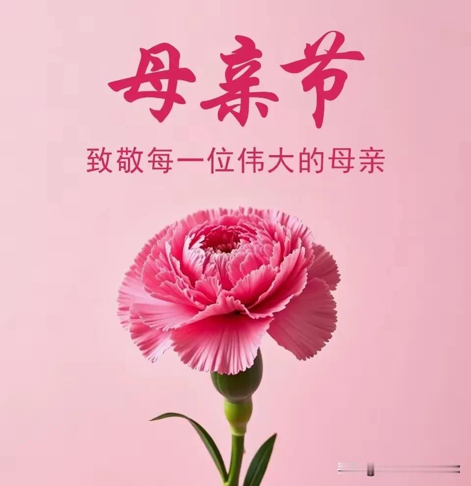 有妈妈的每一帧记忆都好似精美绝伦的画卷。
有妈妈的每一处细节都是深入骨髓的触动。