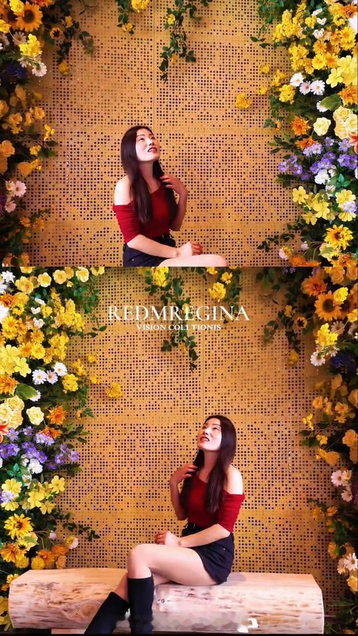 VISION COLLTIONIS。