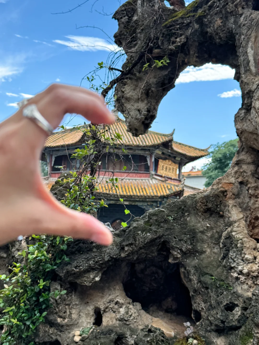 云南｜绝美！此生必去🪷中国最早的观音道场🙏
