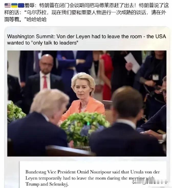 原来这才是真相，白宫峰会的时候，冯德莱恩不是自己愤而离席的！
当时就有媒体爆料称