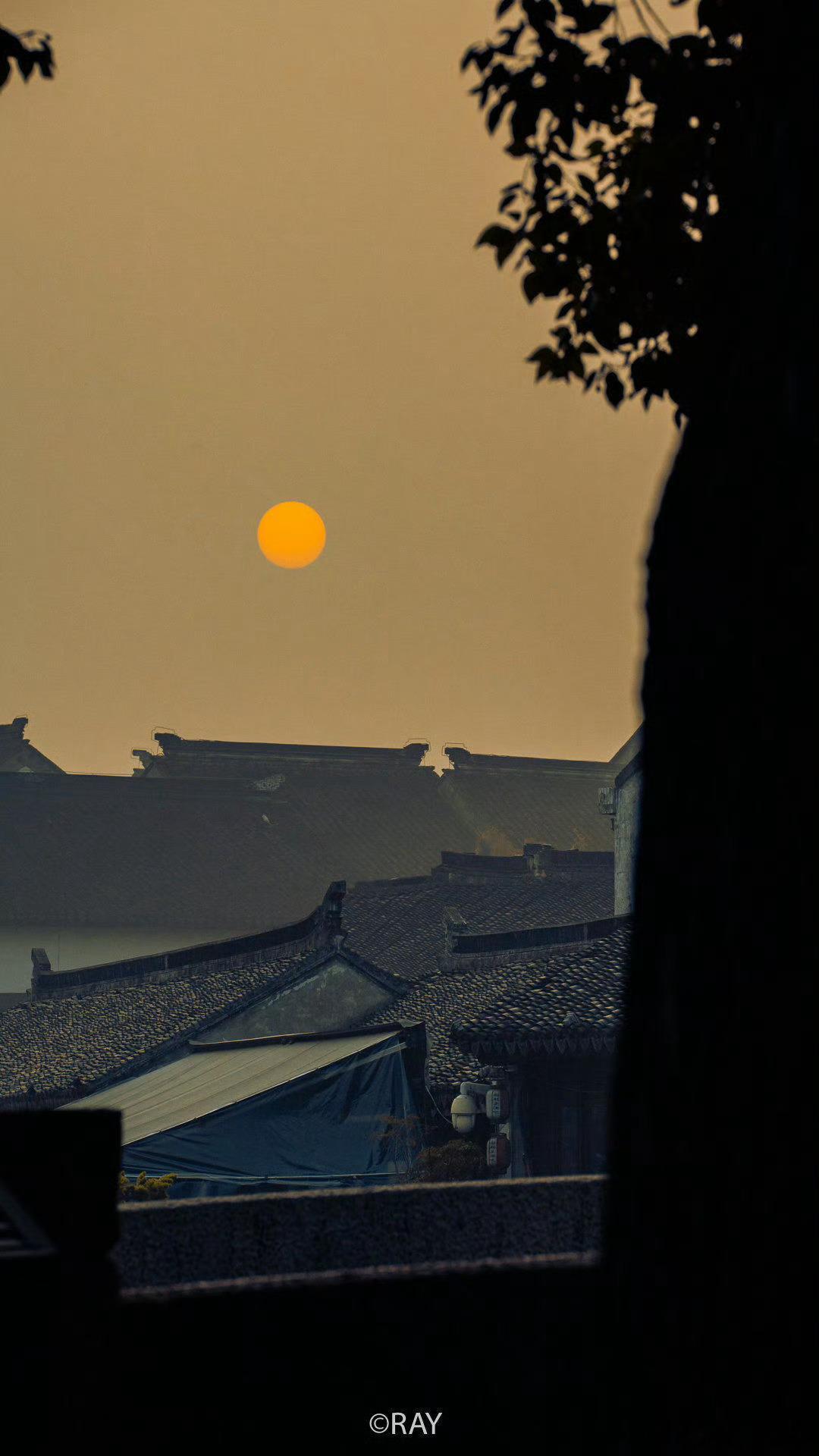 金星逆行已经结束，但处于顺逆交替期间，所有能量反而更容易反复混乱。一些人心态，可