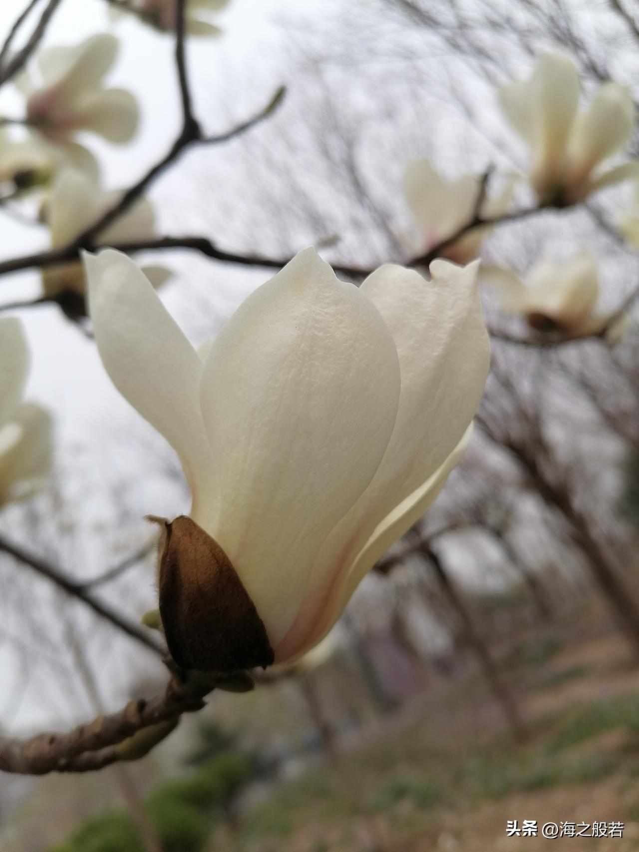 北京今天有雨！

3月31日，北京早晨至白天阴有零星小雨或小雨转晴，北转南风二三
