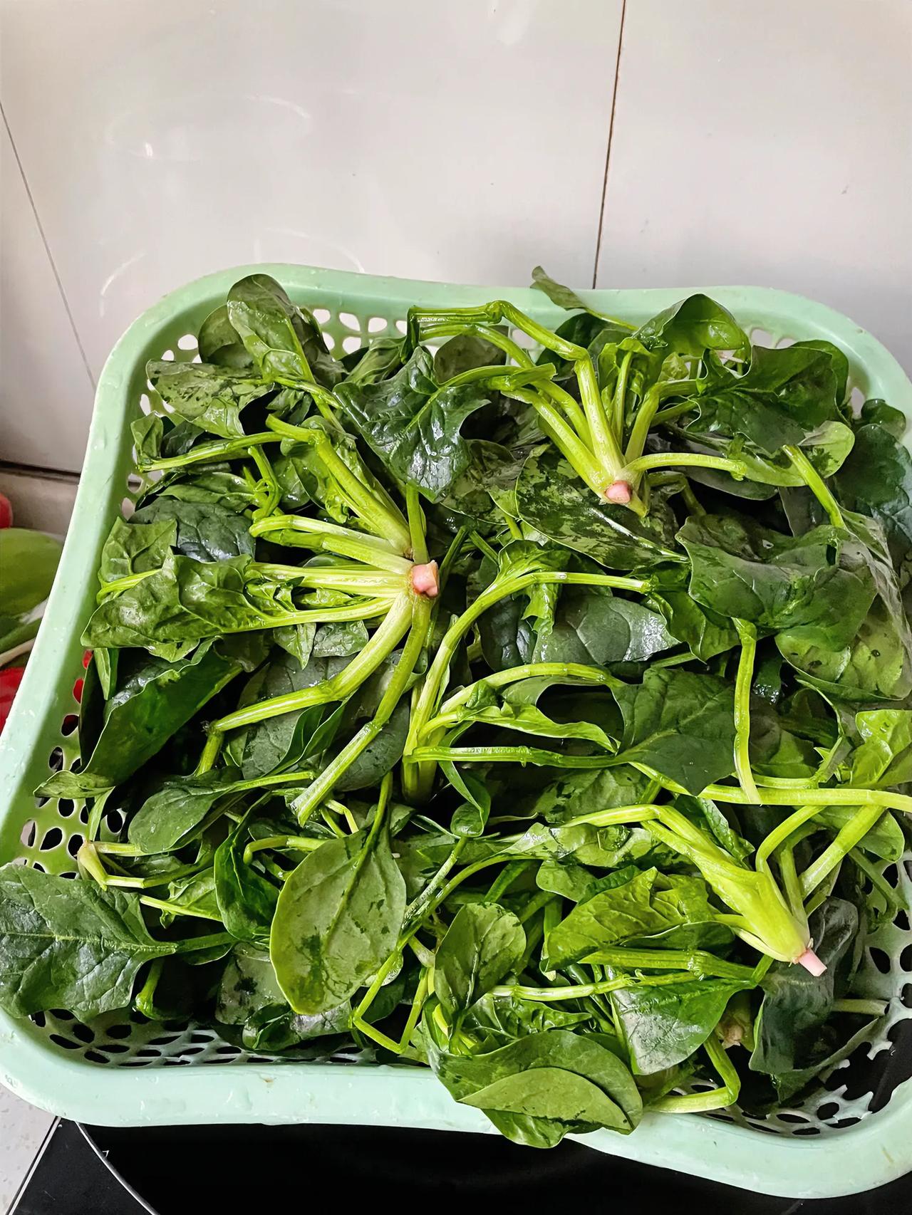 今天早上去淮南老龙眼菜市场买菜，菠菜很多。我问了一个拉车卖菜的大嫂菠菜价格，她回