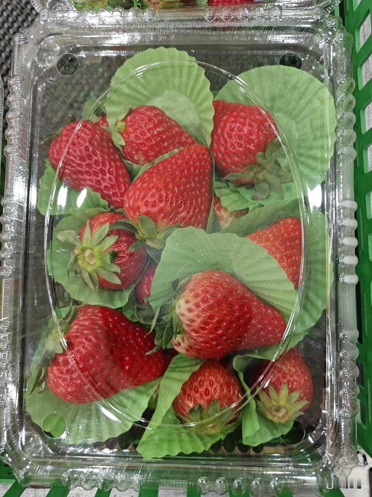 请您吃草莓🍓