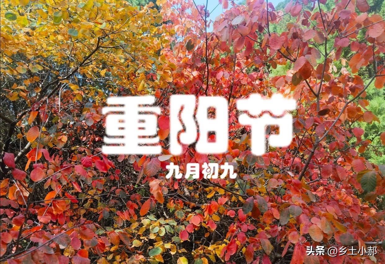 冬天冷不冷，就看重阳这一天！明年收成好不好，看看农谚怎么说？

冬天冷不冷，就看