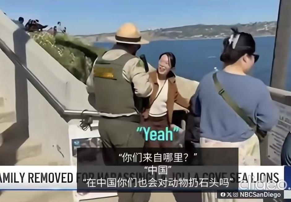 “在中国你们也会对动物扔石头吗”，丢人丢到家了！跑加州圣迭戈著名海狮海滩对动物扔