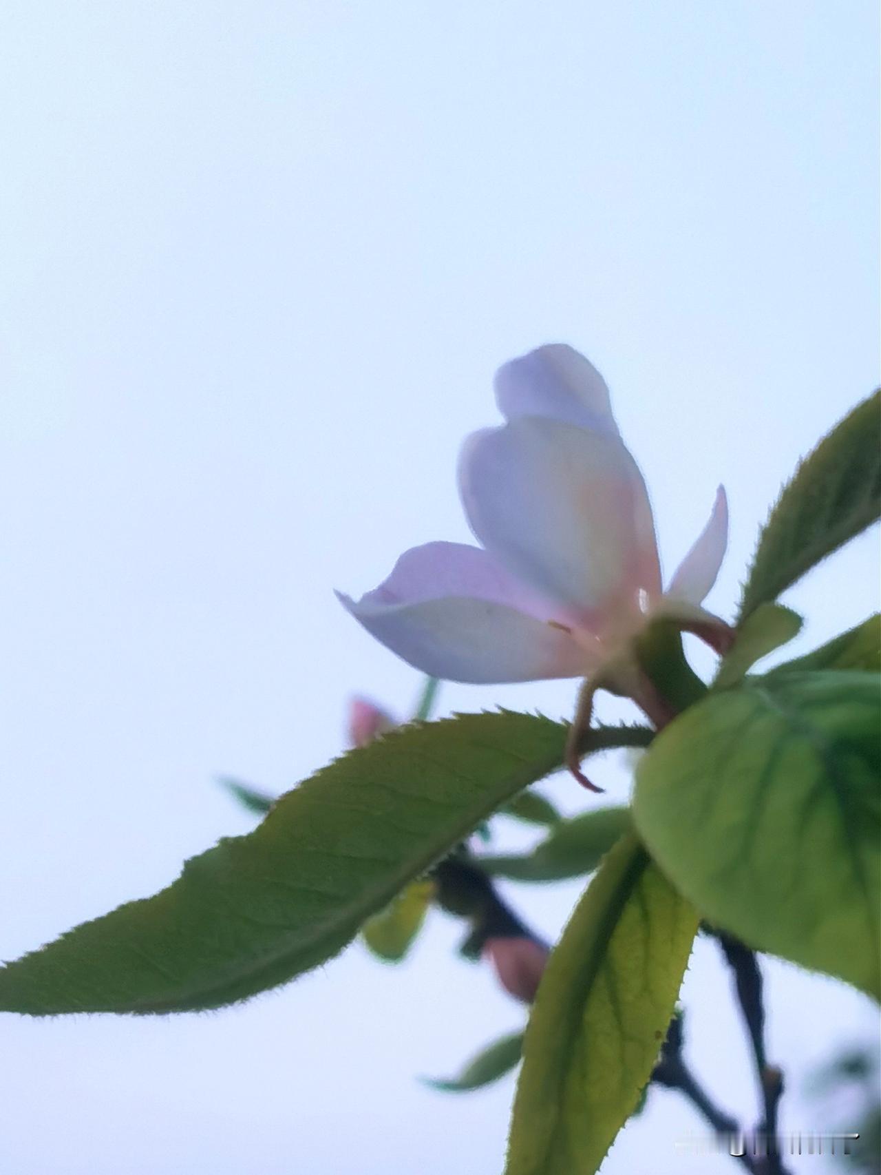 2025-2026CBA联赛最后一轮正在进行，四川丰谷酒业主场对阵浙江稠州金租，