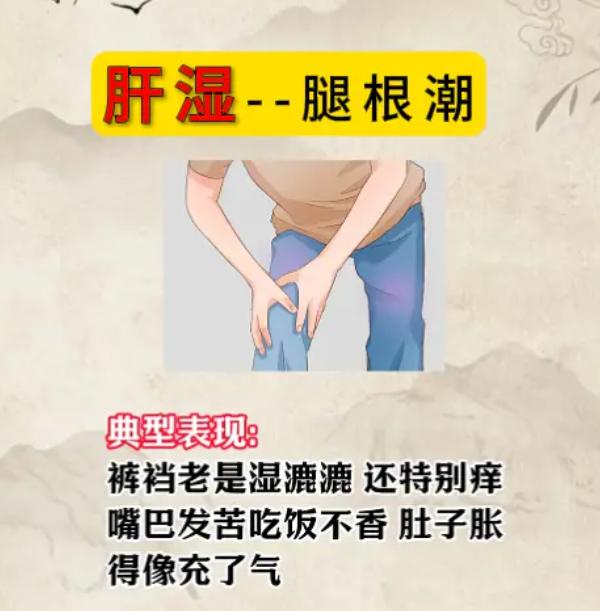 不同脏腑有湿，身体发出的信号也不同