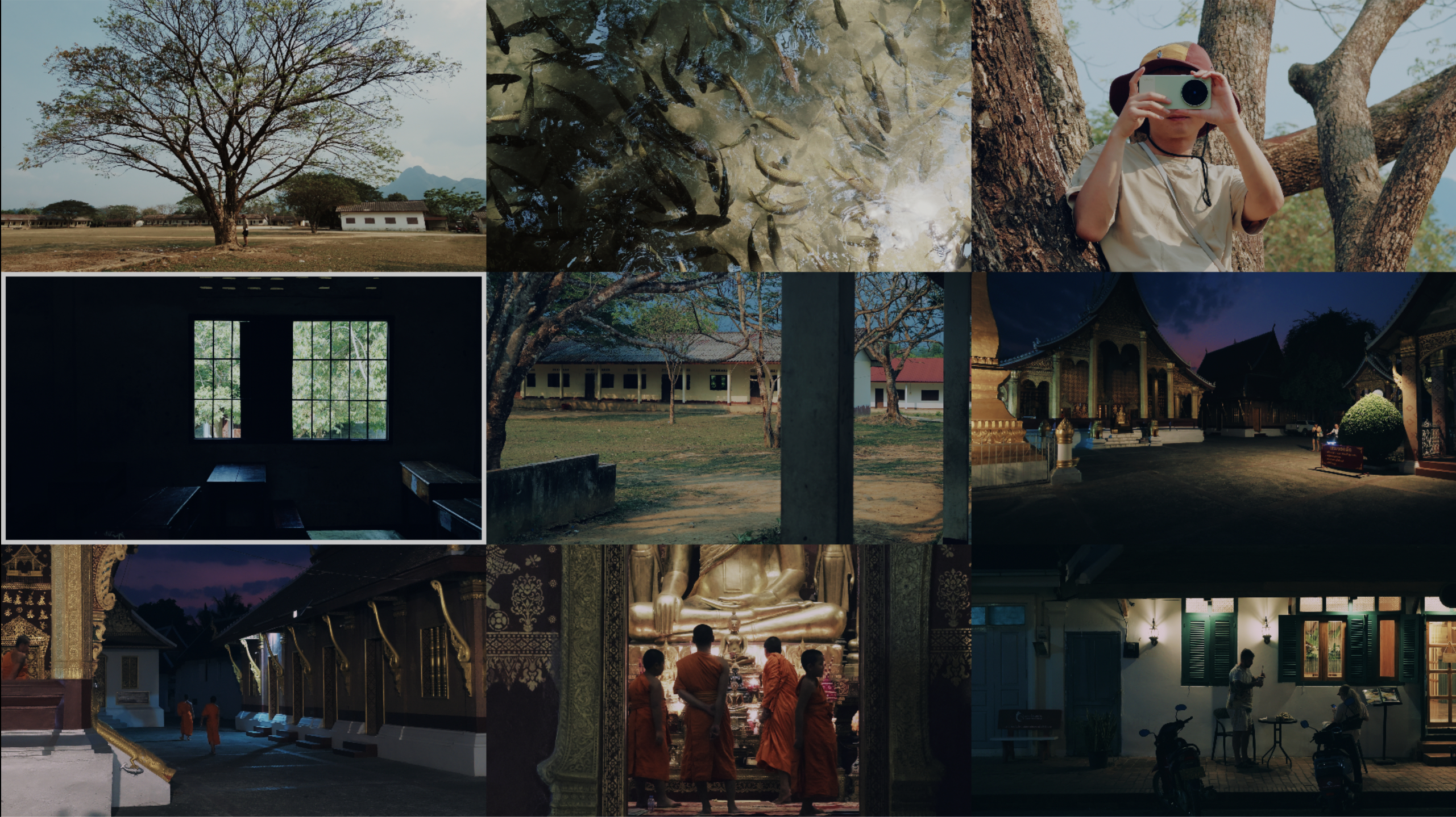 回看我们在老挝这部短片的色彩构成，真的很难相信每一个画面居然都是用手机拍的。（视