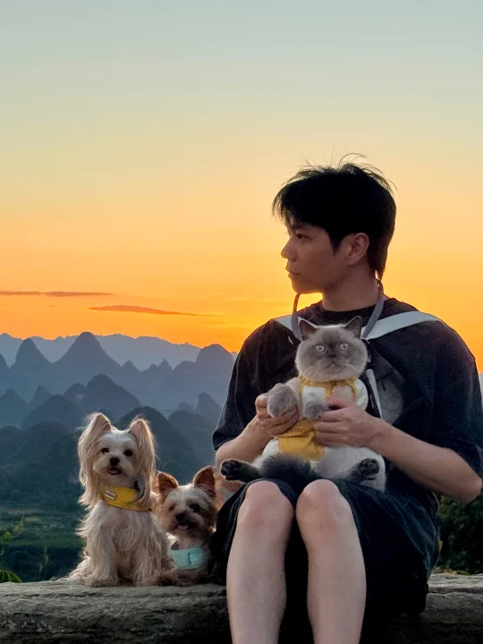 带宠物来看千里江山图的我建议你…