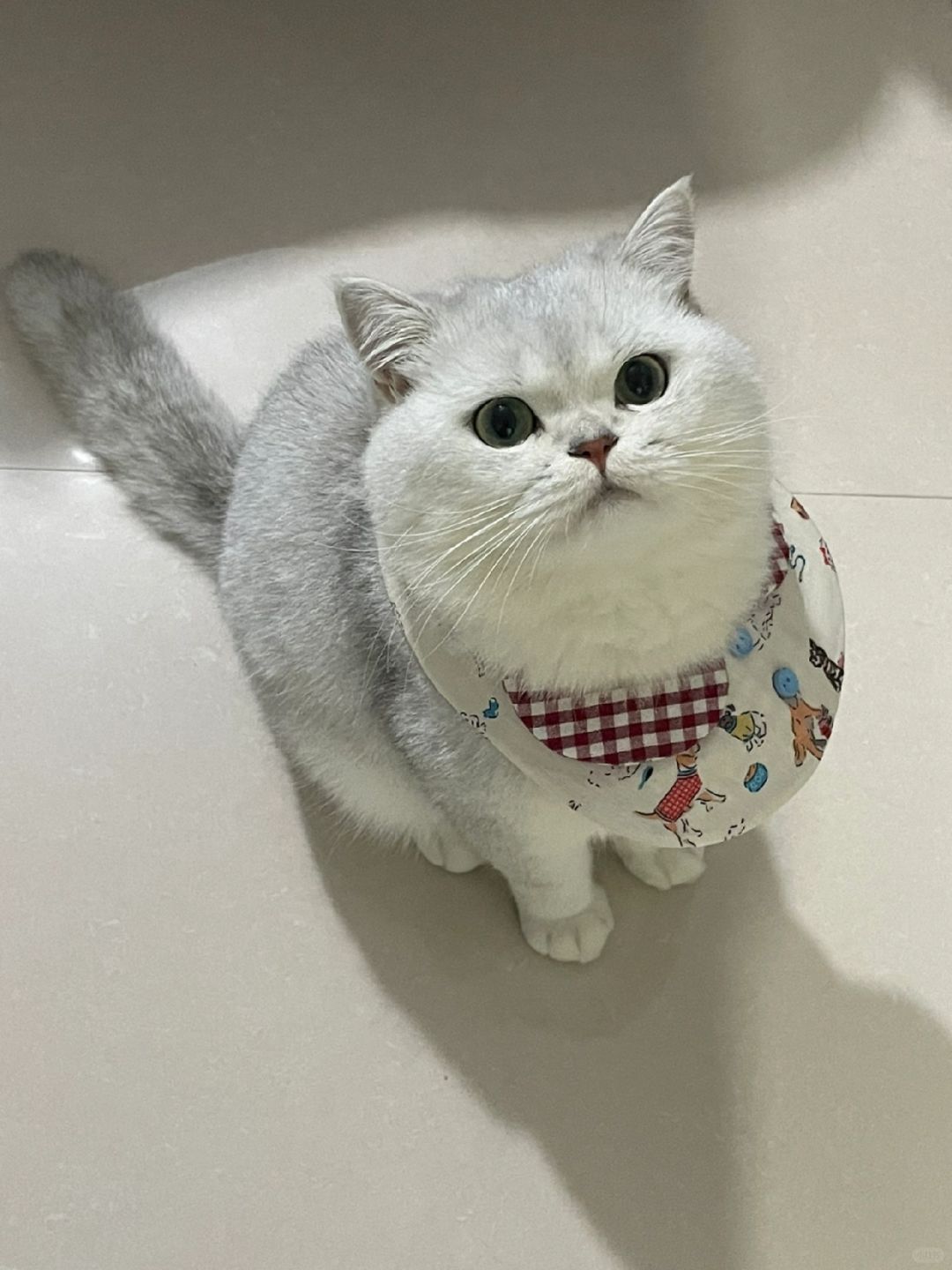 可爱吧～