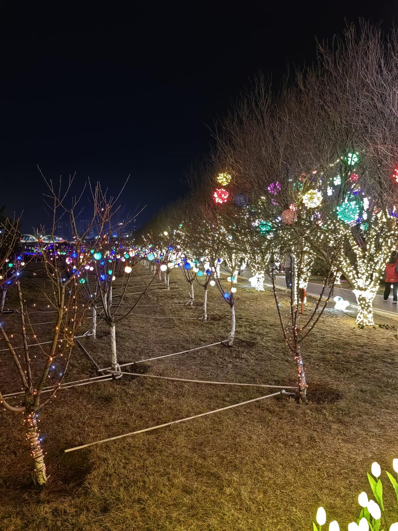 十八世纪，英国为打开清朝市场、贩运鸦片，因遭拒绝而挑起鸦片战争，凭借炮舰轰开了东
