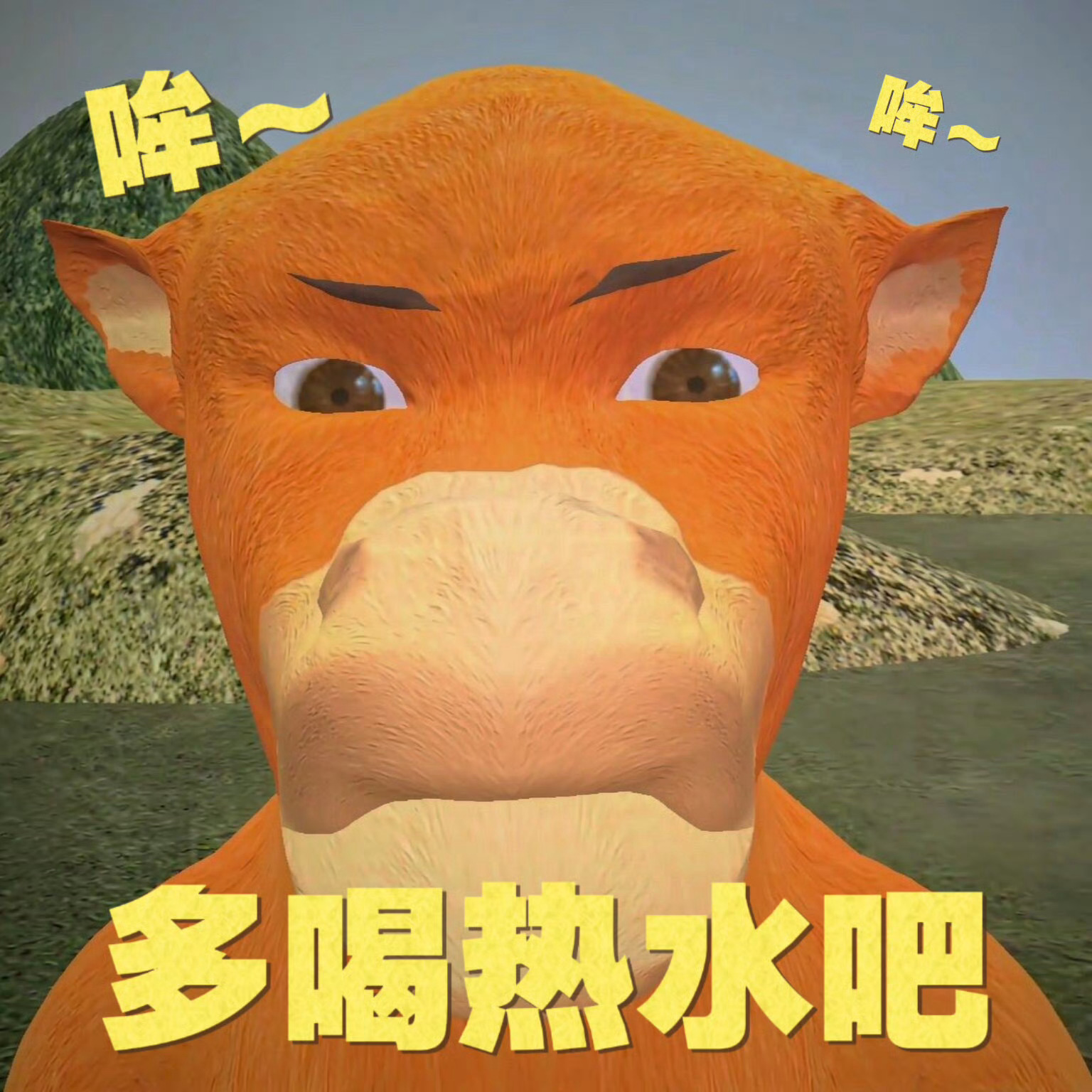 晚安家人们 虽然大热天的但也要记得多喝热水哦🤓 