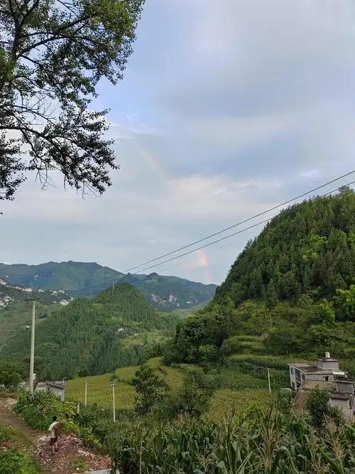 偷偷告诉你一些人性铁律：
1．光靠喝酒，交不到真正的朋友。
2．向别人诉苦，换不