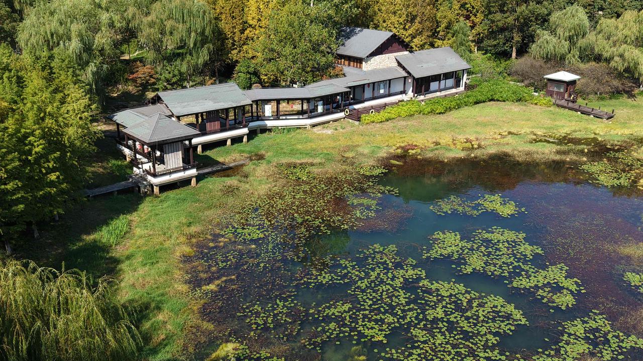 可以发下你拍的美景照片吗