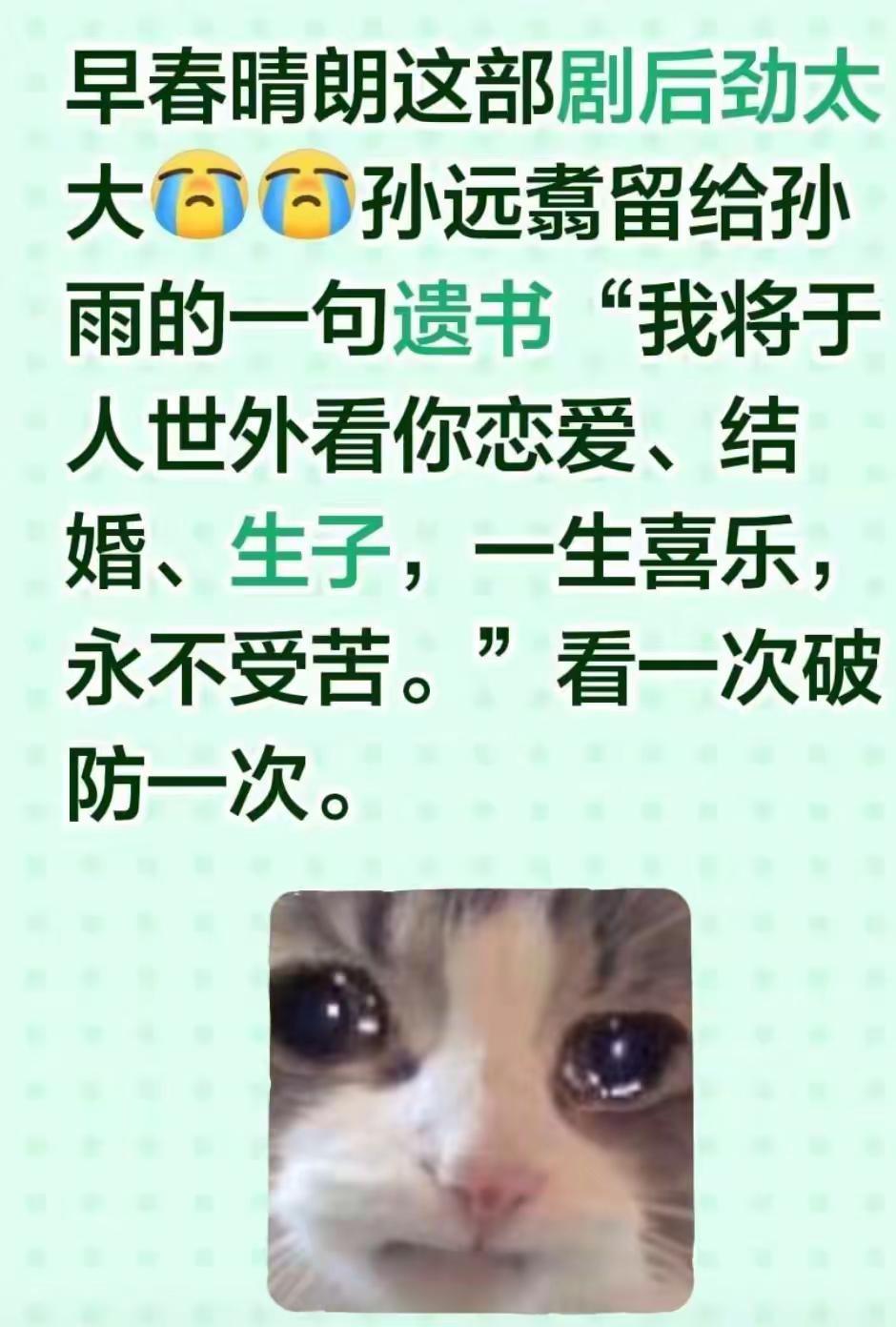早春晴朗这部剧后劲太大孙远翥留给孙雨的一句遗书“我将于人世外看你恋爱、结婚、生子