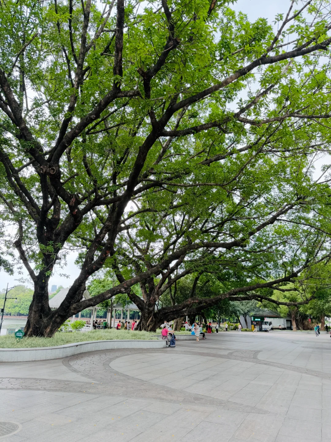 📍广州四大公园之一，又一休闲好去处（攻略）