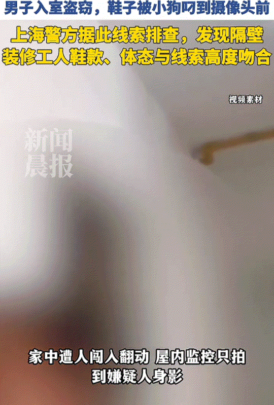 汪汪队立大功了！上海，一女子长期在国外工作，这天她从监控中发现其国内家中遭人入室
