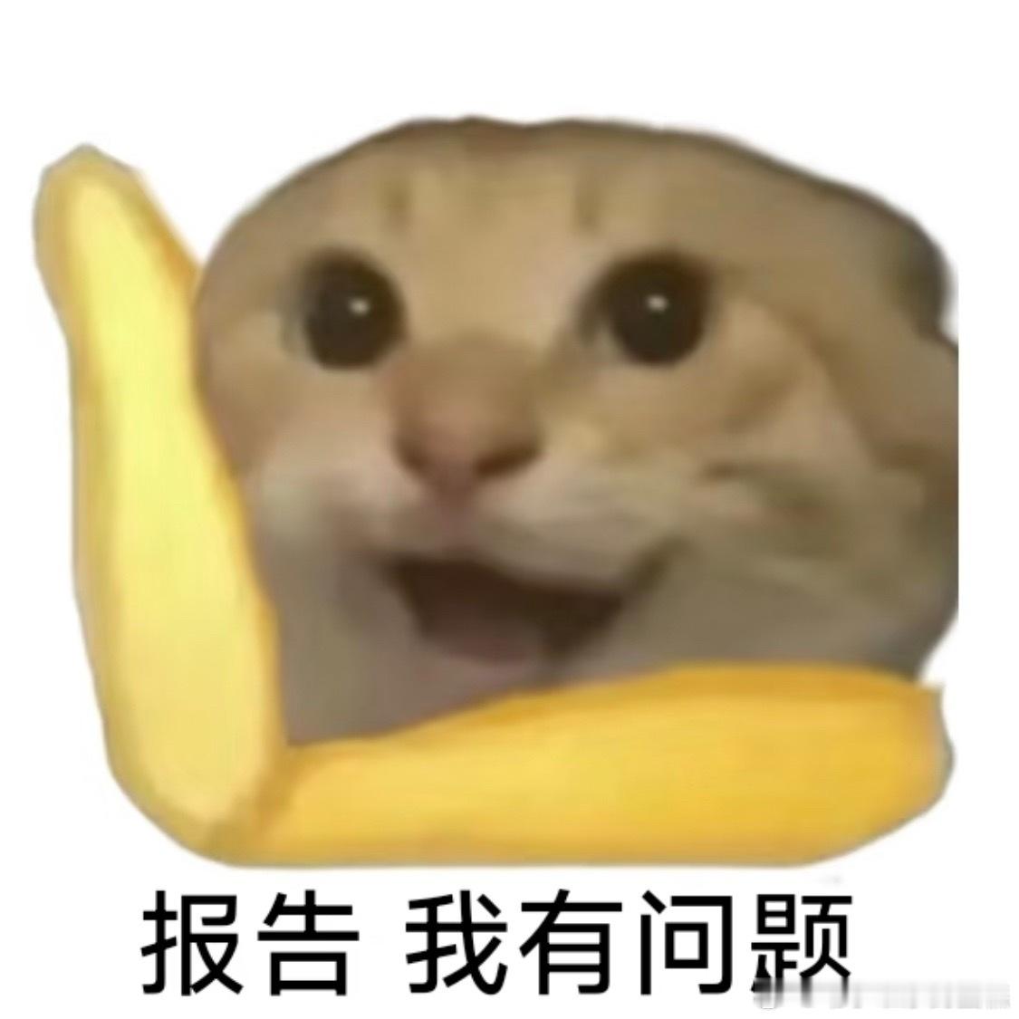 谁能拿下金鹰奖最佳女主问谁能拿下金鹰奖女主，还不如问谁的大名不能上热搜，所以是为