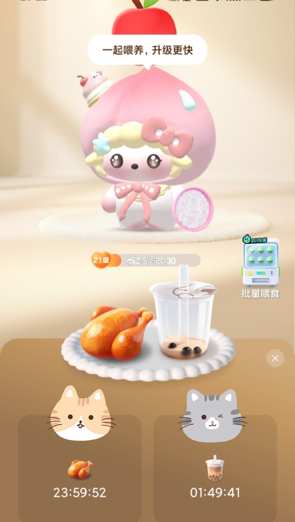 又是蜜雪冰城又是烤全鸡的 这吃的比我都好